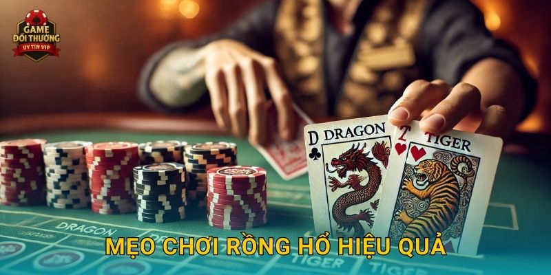 Rồng Hổ Game đổi thưởng đơn giản kịch tính trong từng ván 3 Mẹo chơi Rồng Hổ hiệu quả