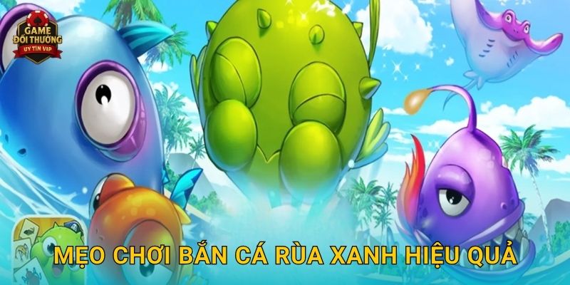 Bắn Cá Rùa Xanh Game đổi thưởng kịch tính với phần thưởng hấp dẫn 3 Mẹo chơi Bắn Cá Rùa Xanh hiệu quả