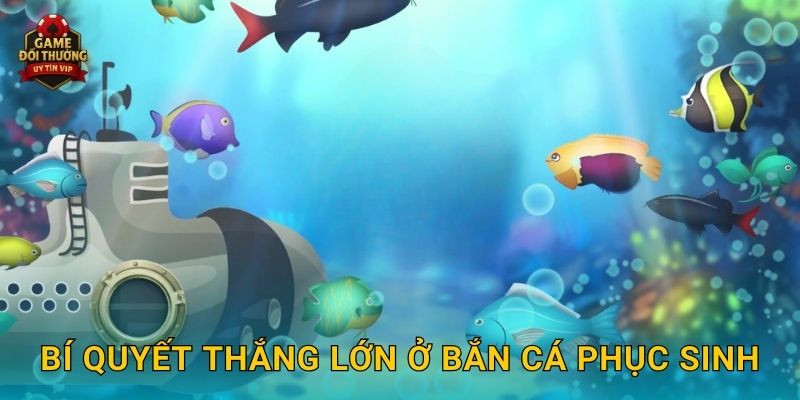 Bắn Cá Phục Sinh Game đổi thưởng thú vị với trải nghiệm mới mẻ 3 Bí quyết thắng lớn ở Bắn Cá Phục Sinh
