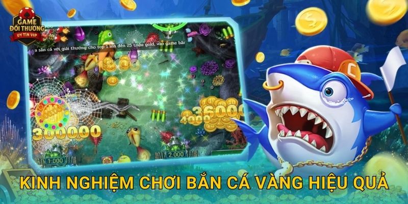 Bắn Cá Vàng Game đổi thưởng cơ hội săn kho báu khổng lồ dưới biển 3 Kinh nghiệm chơi Bắn Cá Vàng hiệu quả