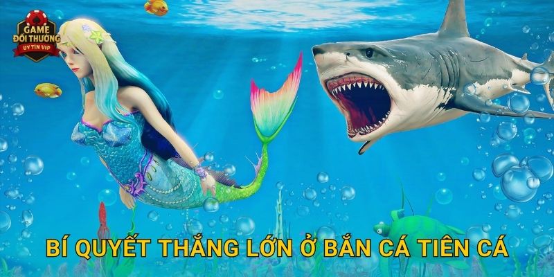 Bắn Cá Tiên Cá Game đổi thưởng độc đáo với phần thưởng khổng lồ 3 Bí quyết thắng lớn ở Bắn Cá Tiên Cá